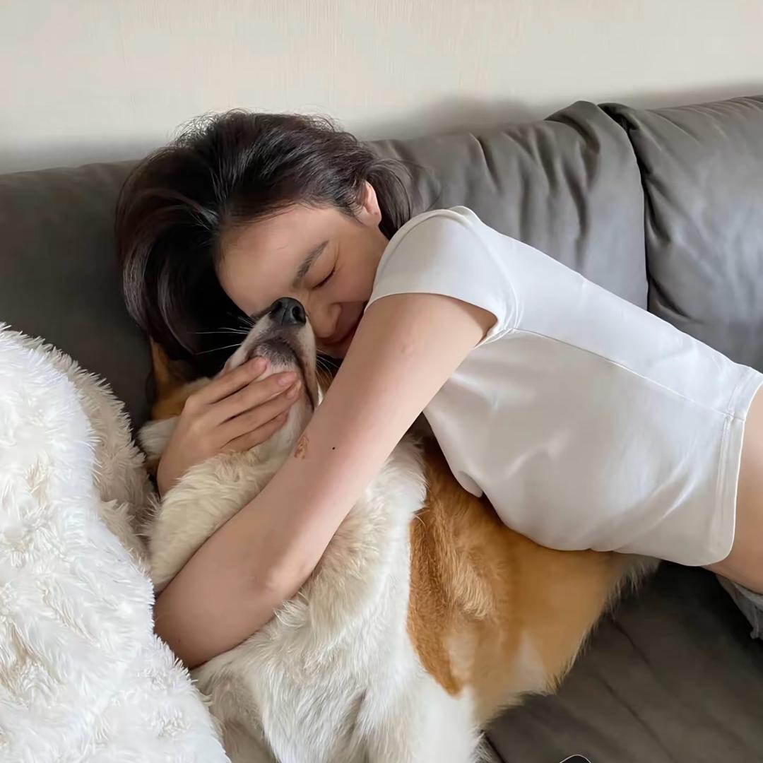 小小懒猫