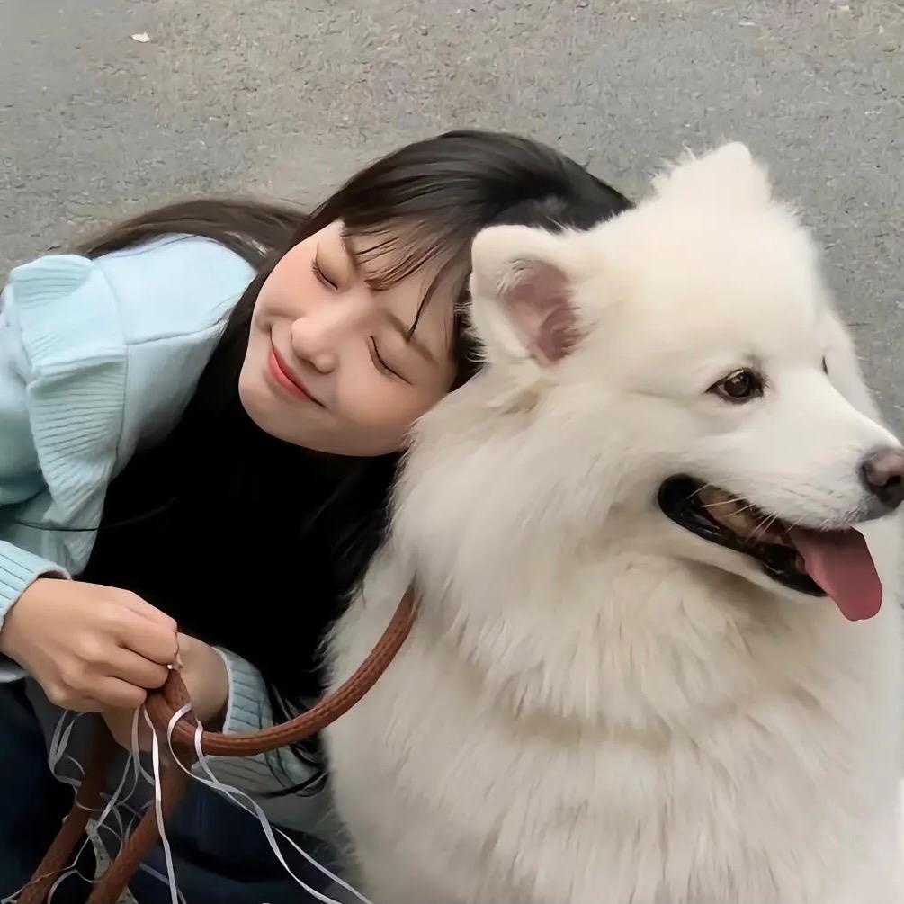 六六吖