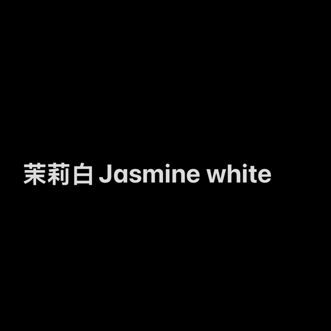 茉莉白jasmine