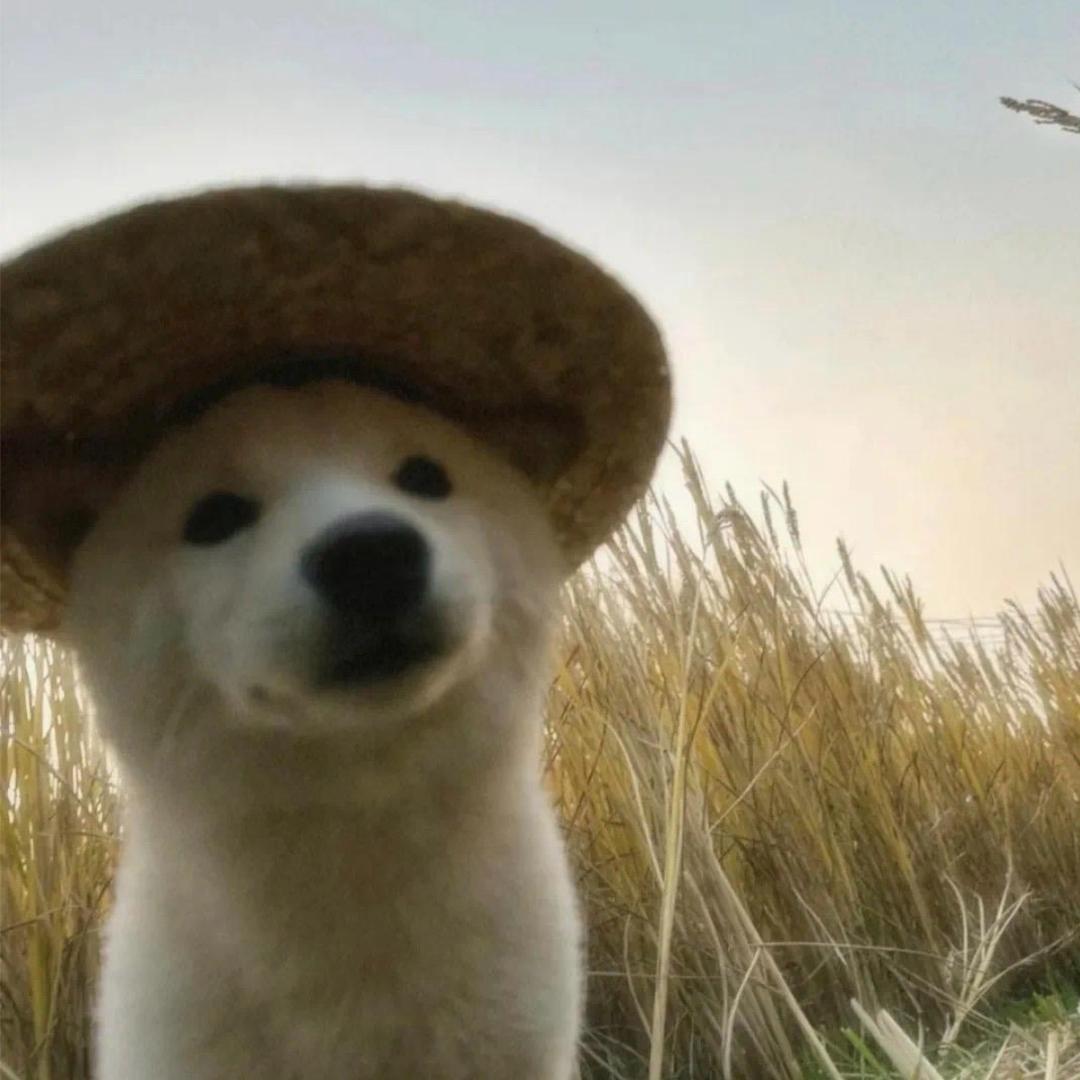 描述