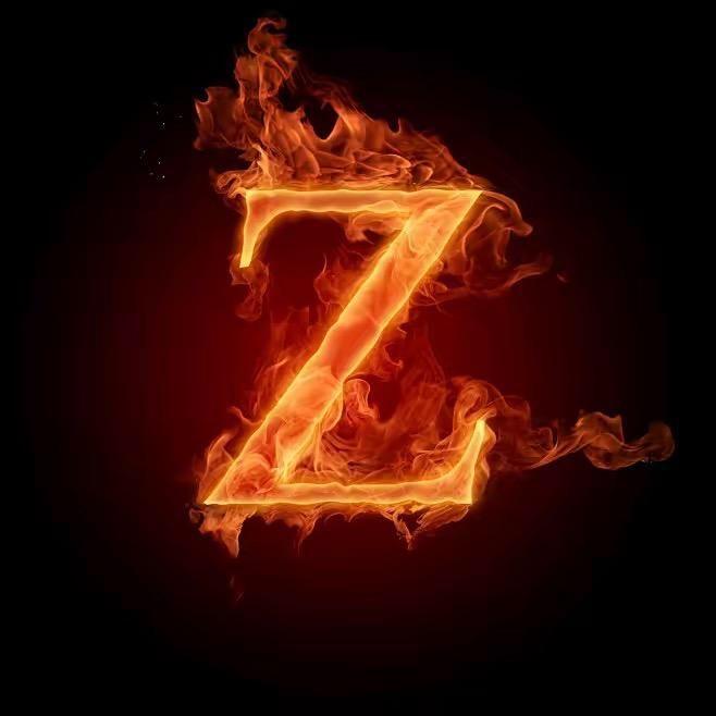 ZYN