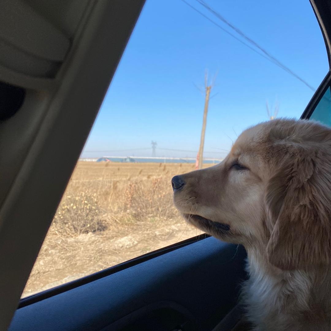 金刚柱是女孩子