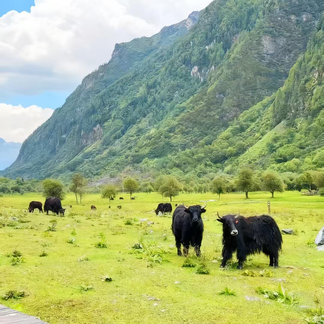 阿木人家（农鲜）