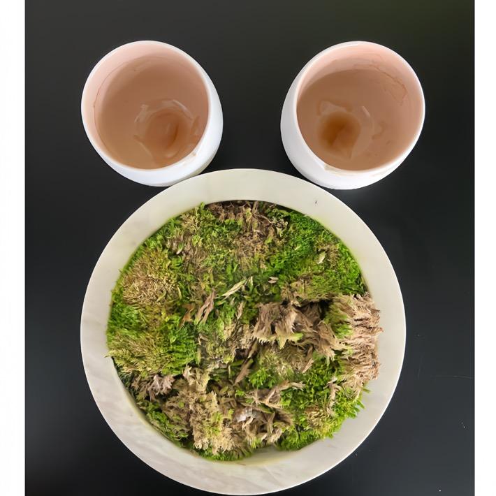 🍶🍻