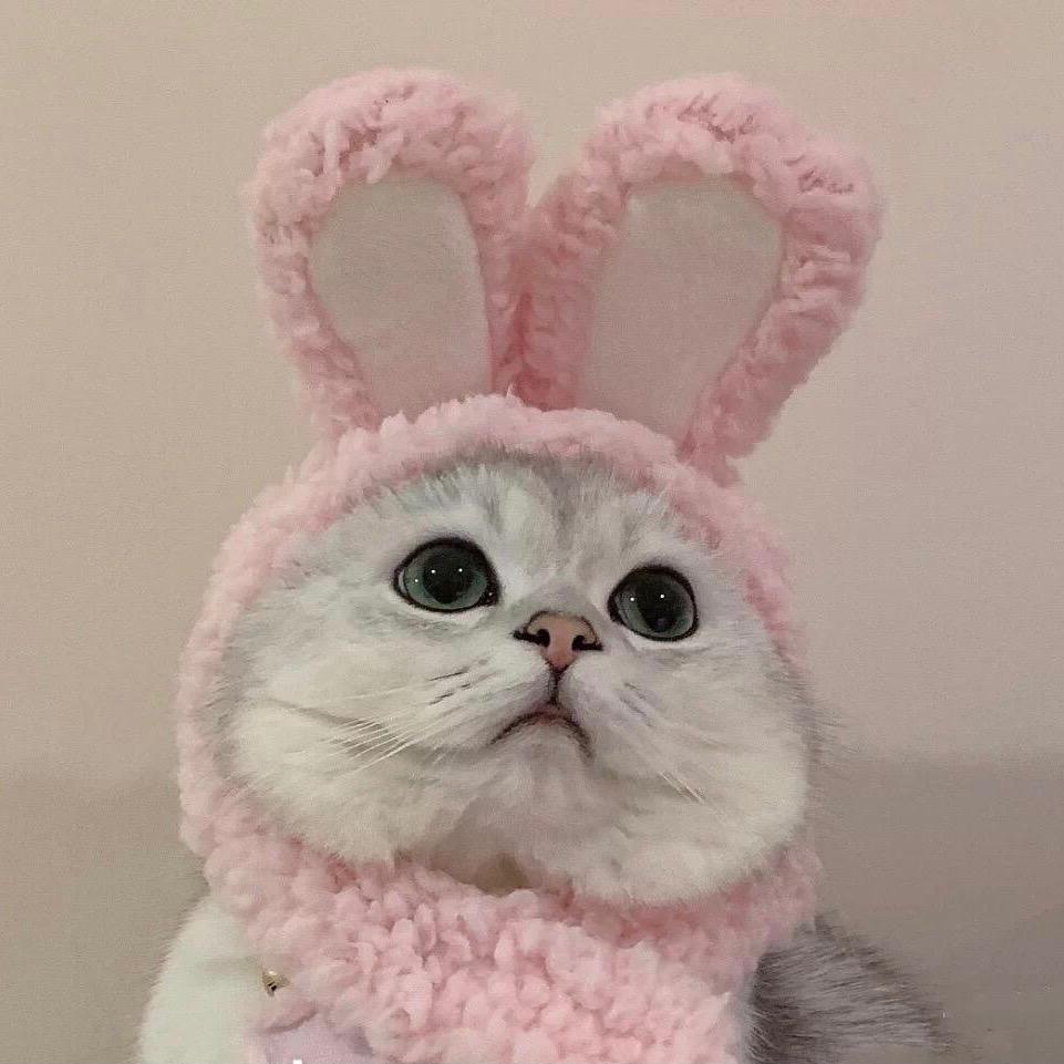 是莹莹阿🧸ྀི