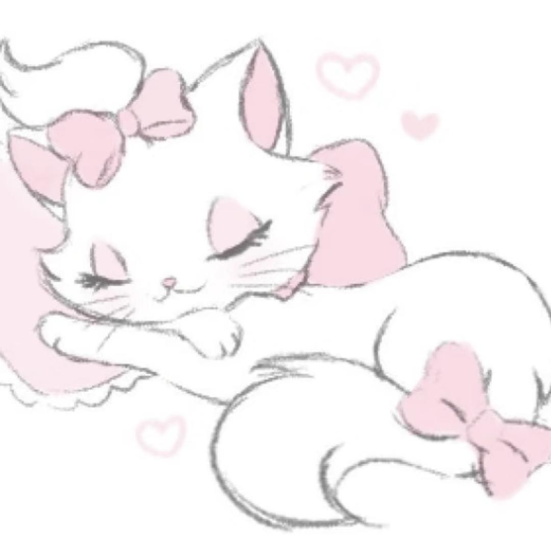 软猫