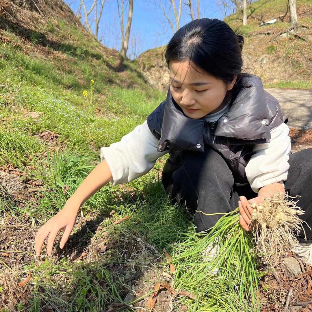 浙西清凉峰雯妹