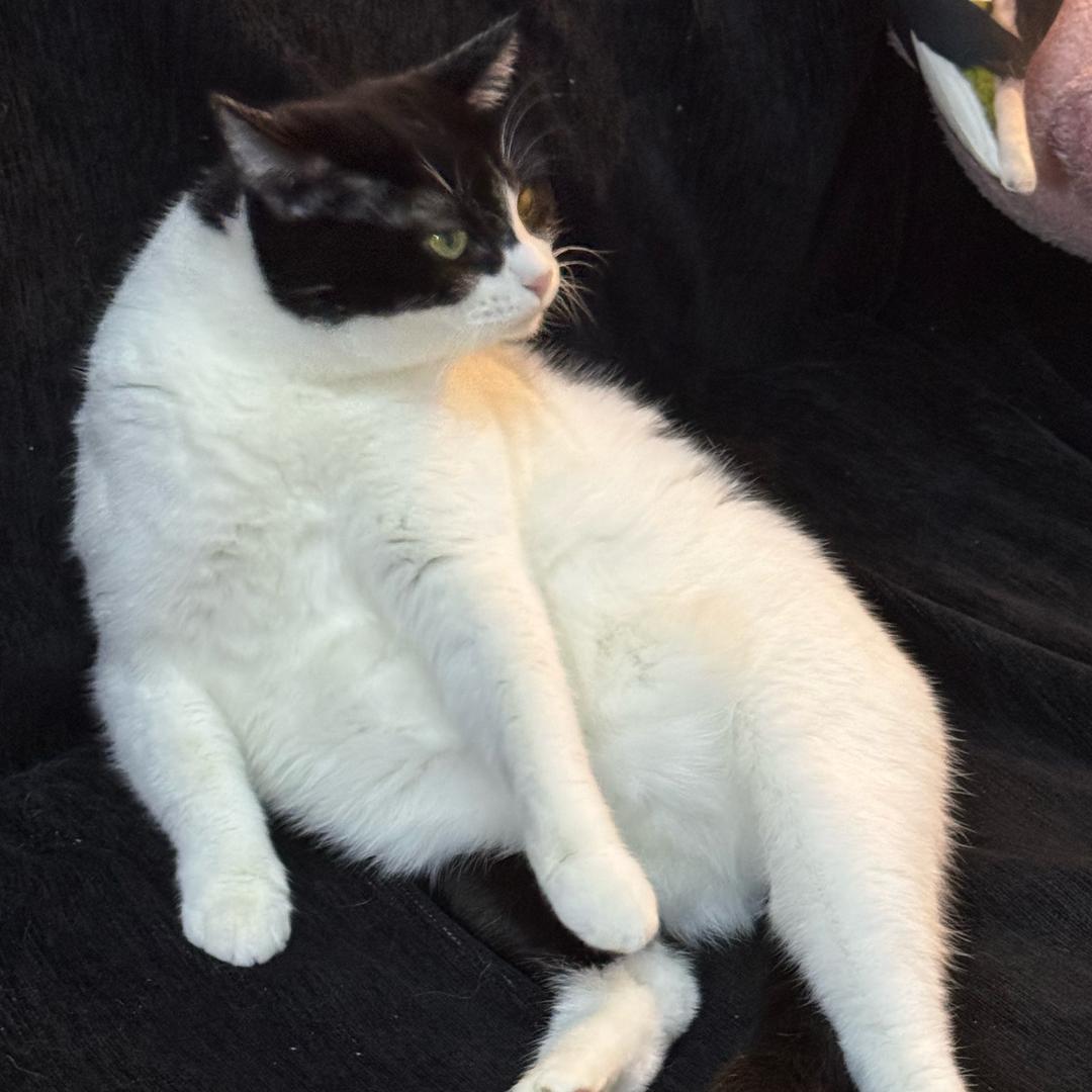o.O？