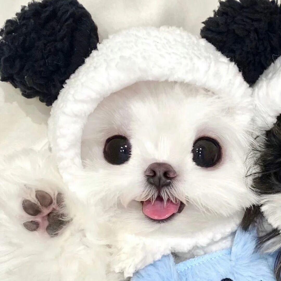 命中注定