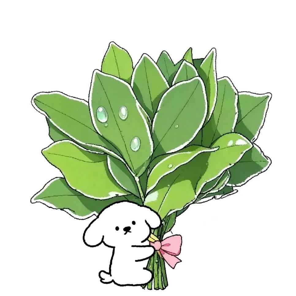 能豆的宝藏店铺🎀