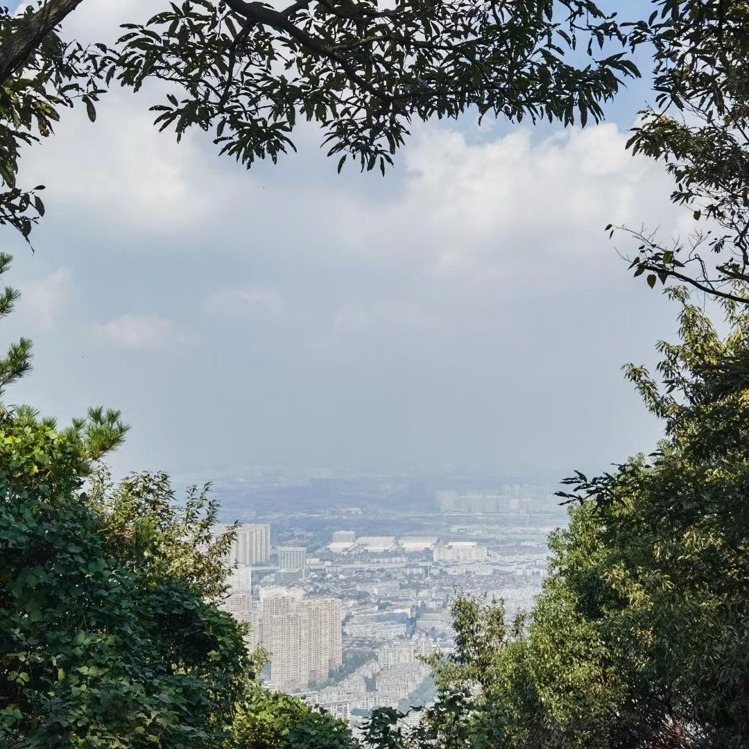 大林