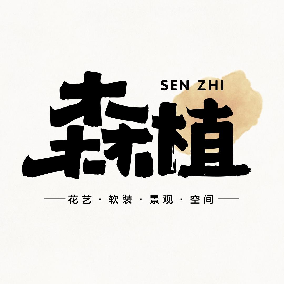 空间花艺软装-李军卫