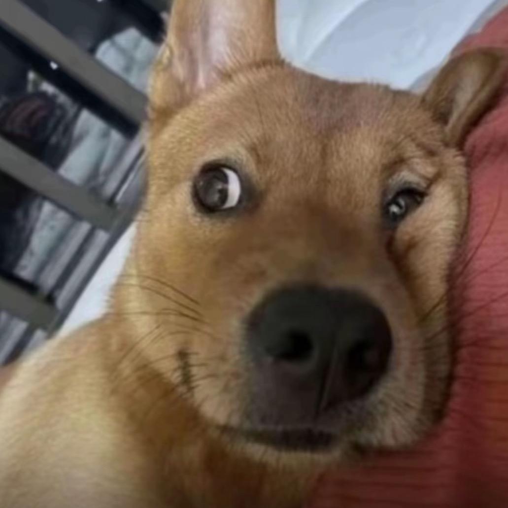 听说名字会被瓜娃子念