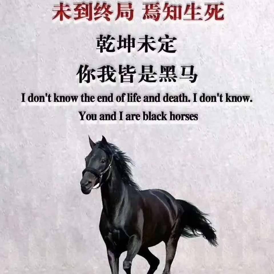 飞哥、