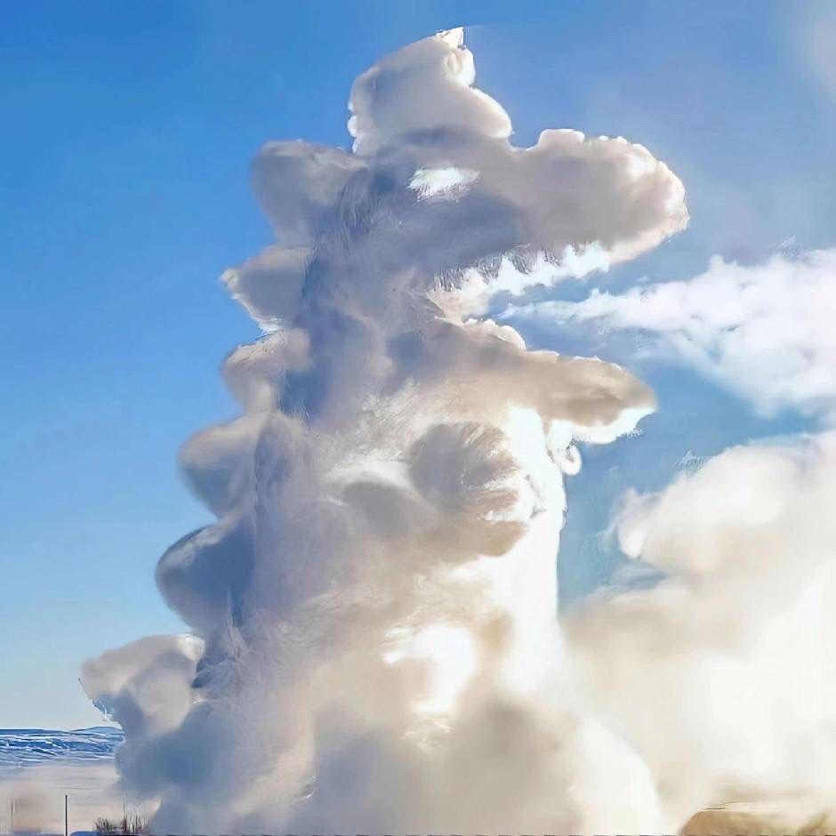 先减个肥的胖子