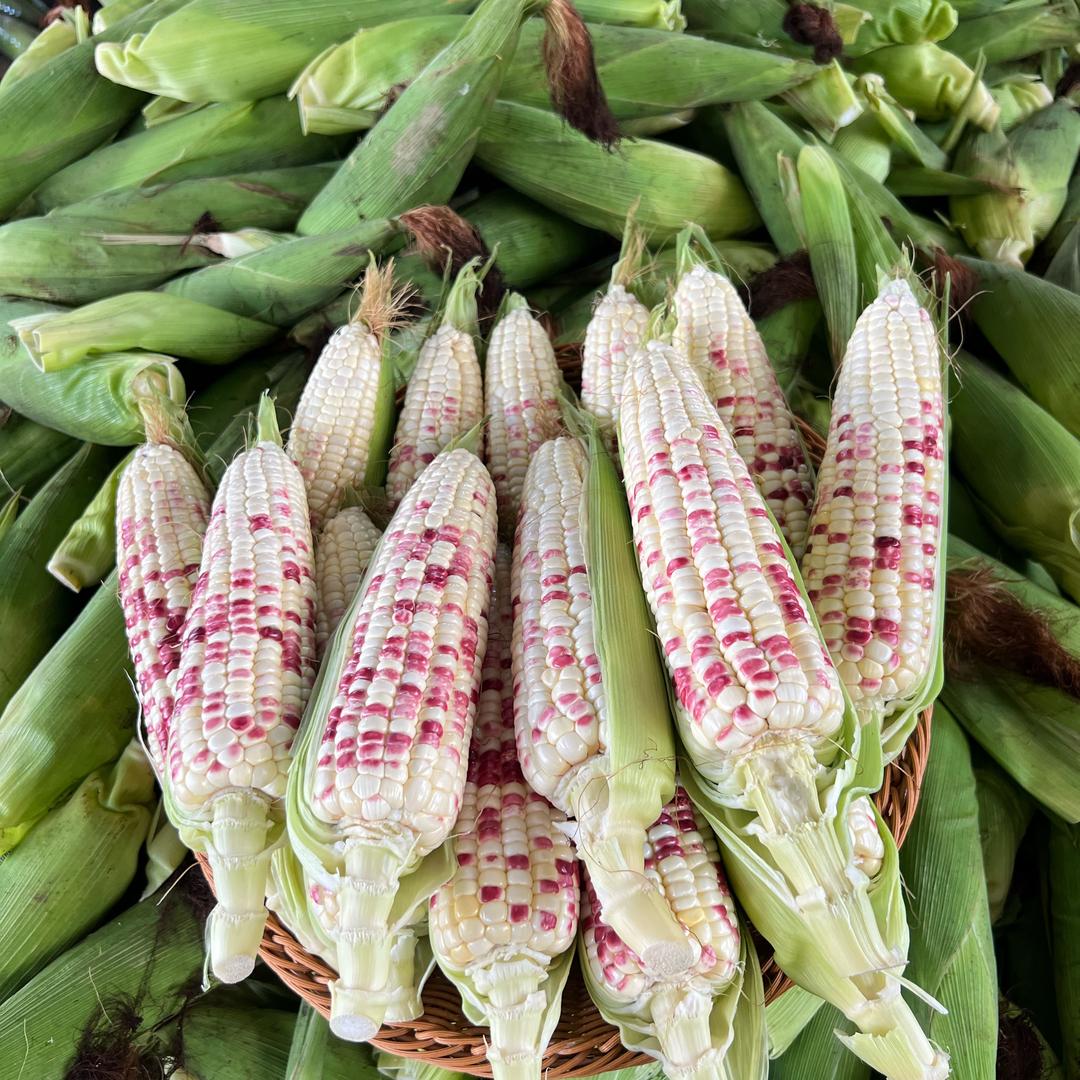 壮乡玉米生鲜店