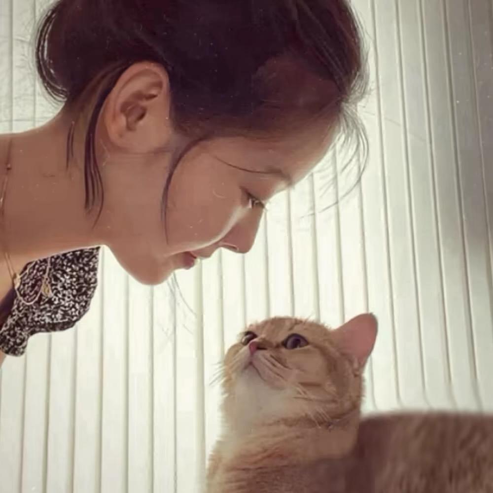 杏.