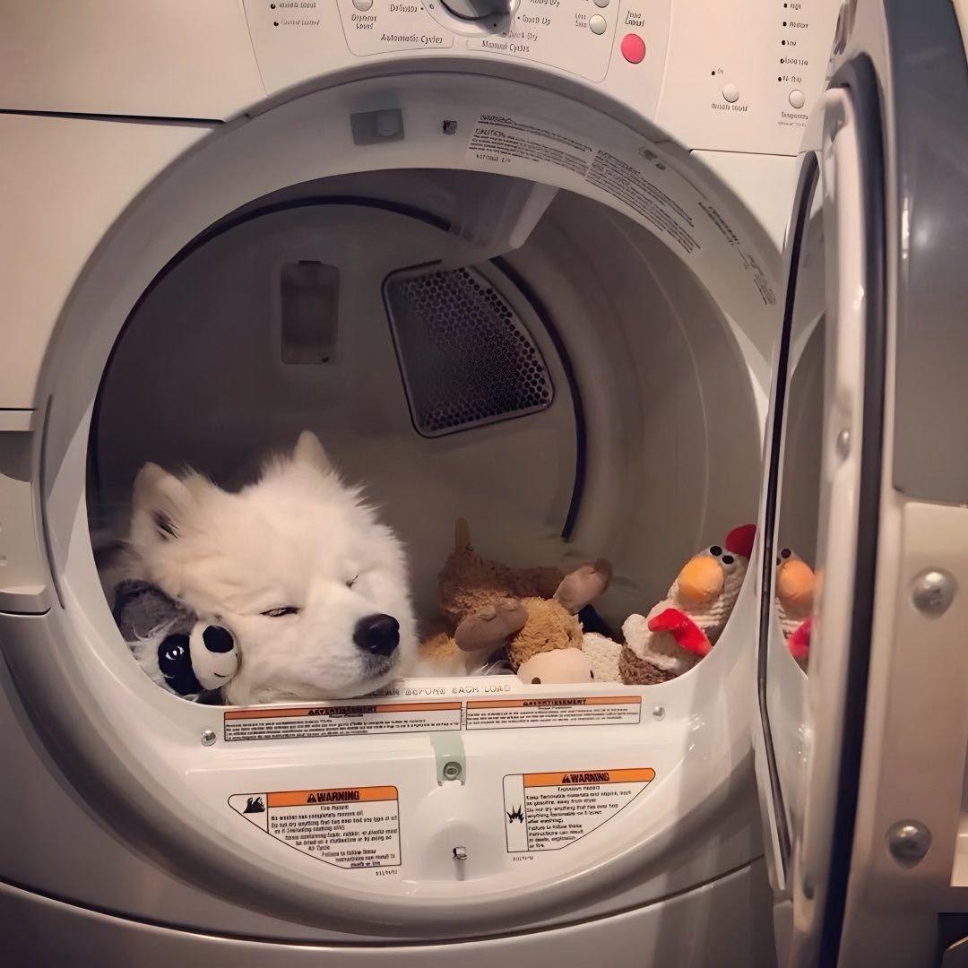 长矛粘💩叉谁谁死