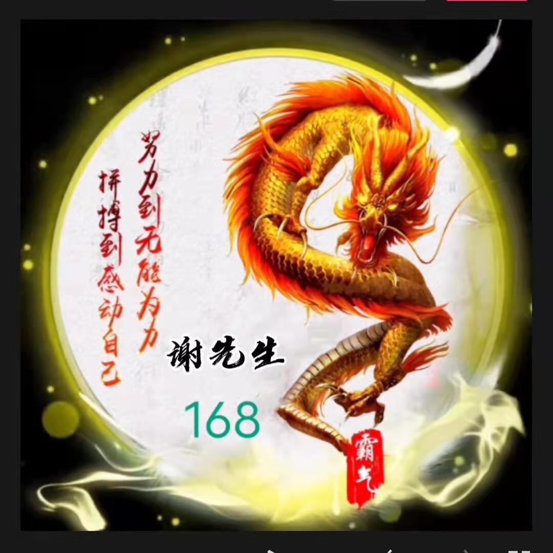 ⚡️流浪的谢先生