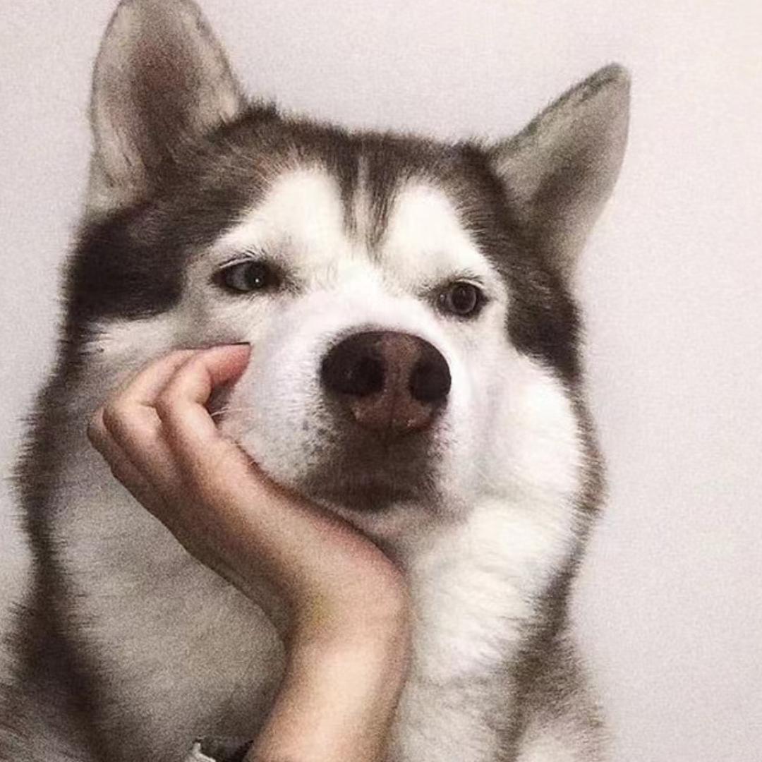 沧渊「只发完结」