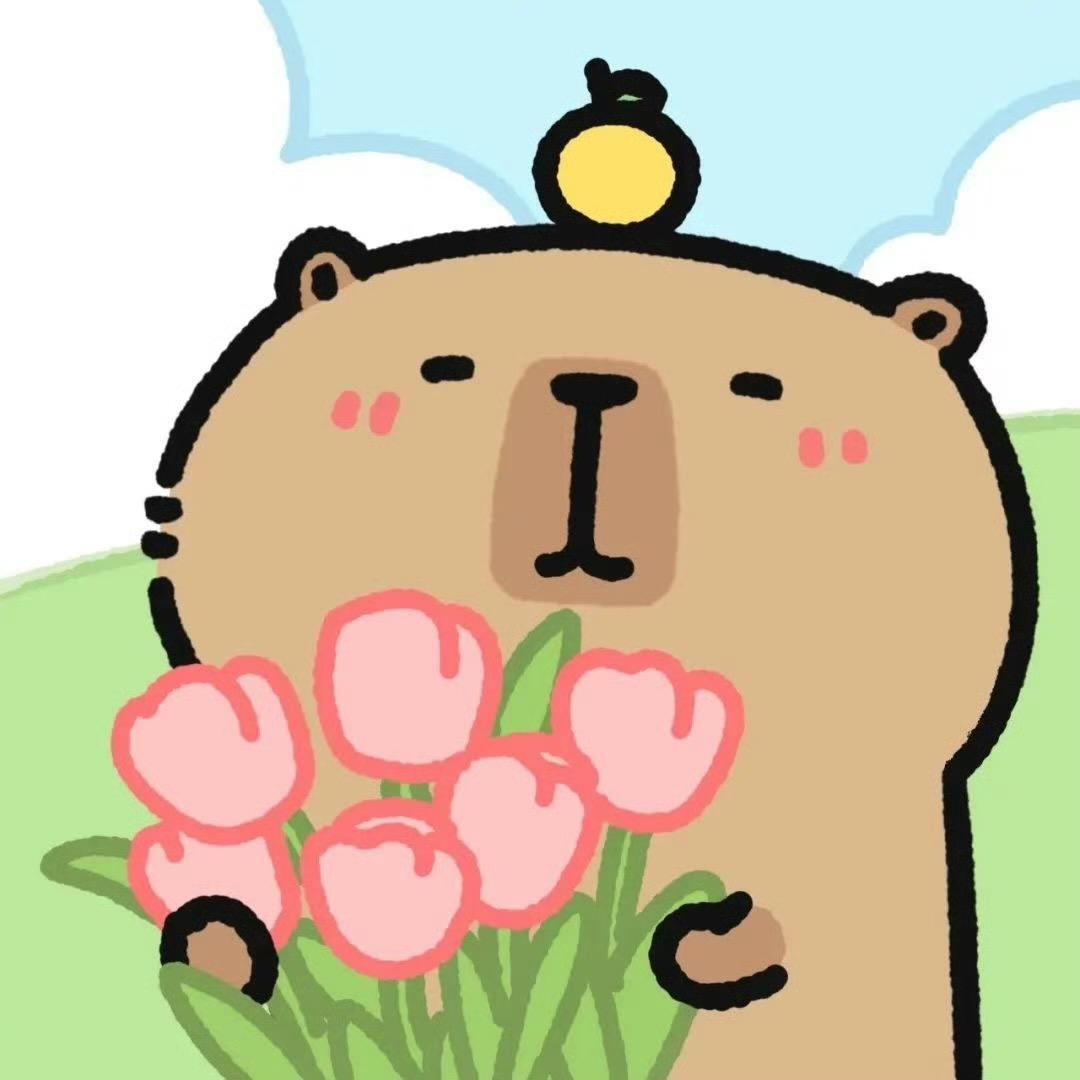 行云流鲨Barbi²⁰²⁵ ✨