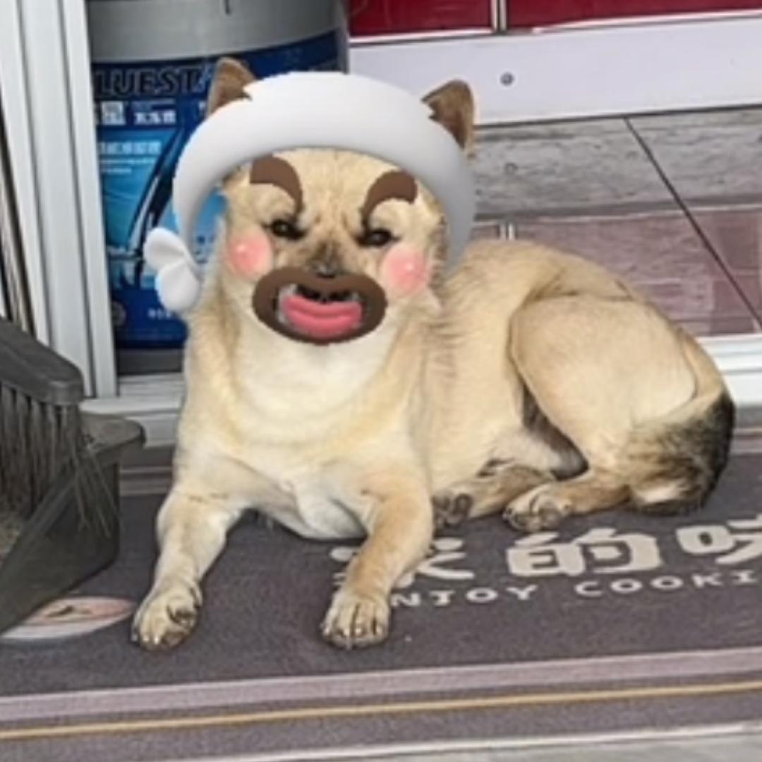 🧚♀️ 🧚♀️