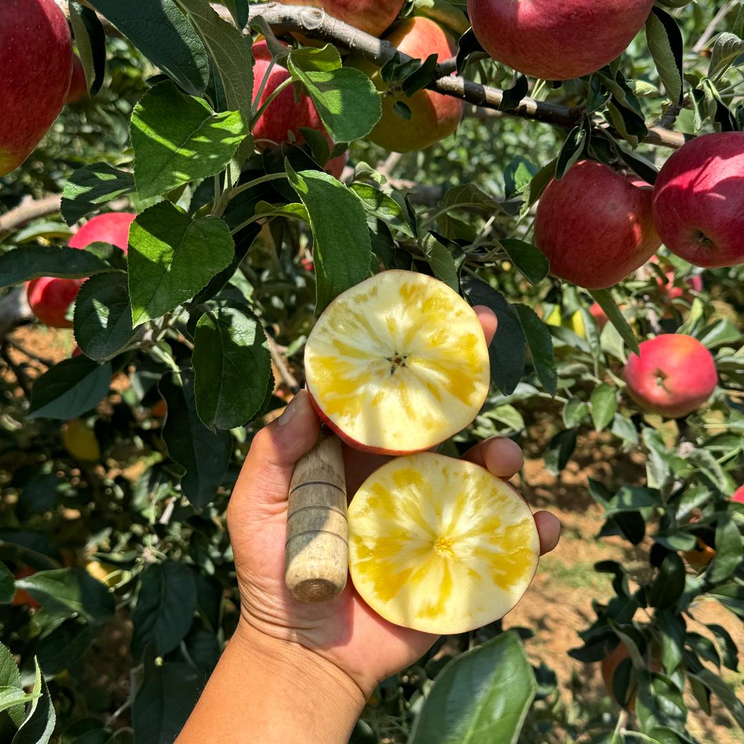 柏悦农业特色农品小铺子