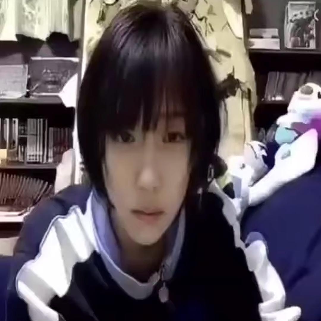 彩色的熊猫