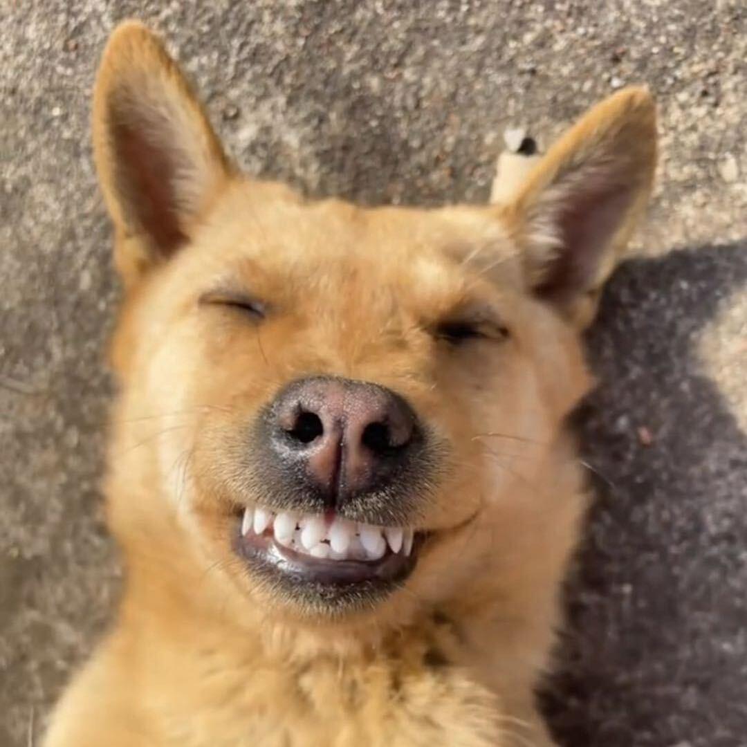 -_