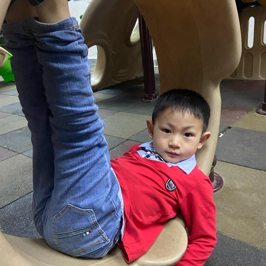 双儿