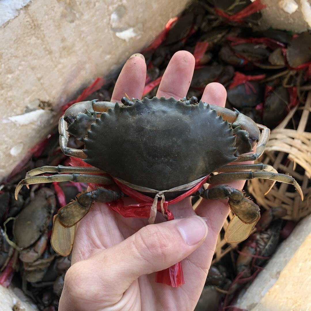 孙安水产品商行