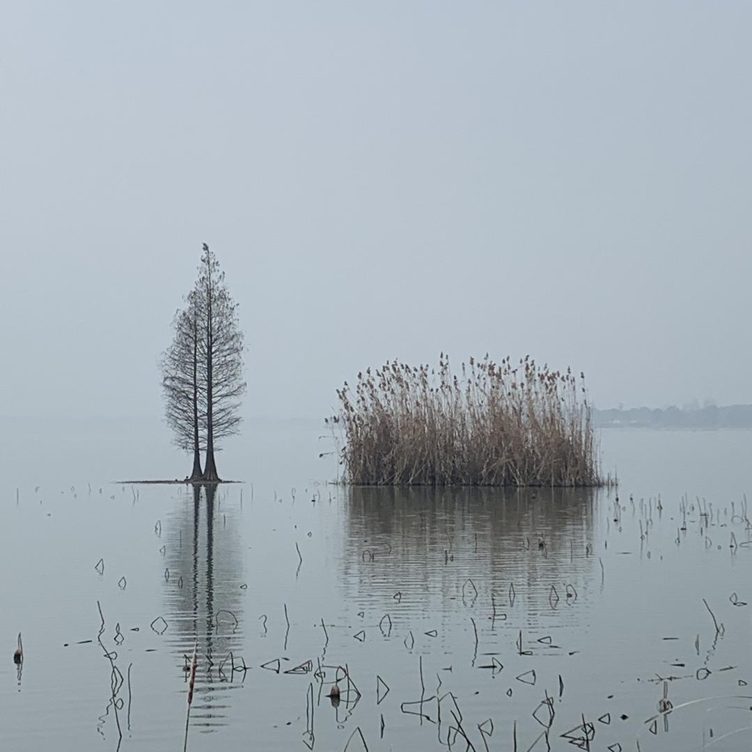 一股人间清流