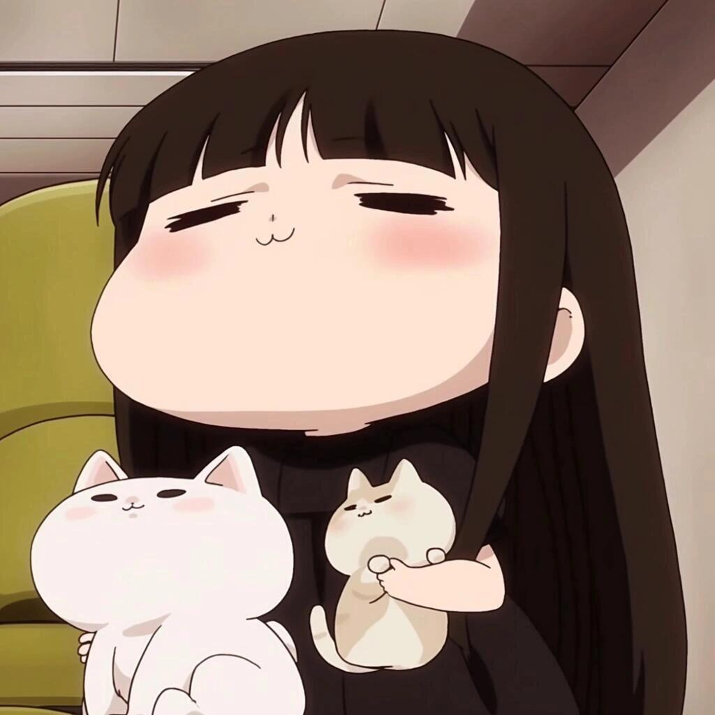 猫鱼煲