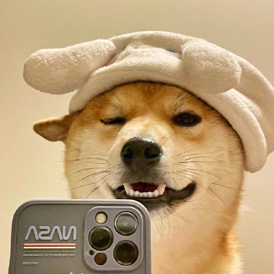 叮当猫的小宝子