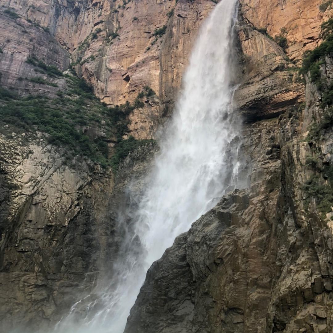 高新·和锦莲序