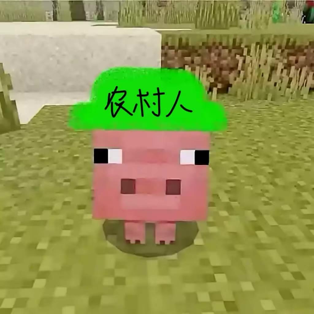 真心总被骗