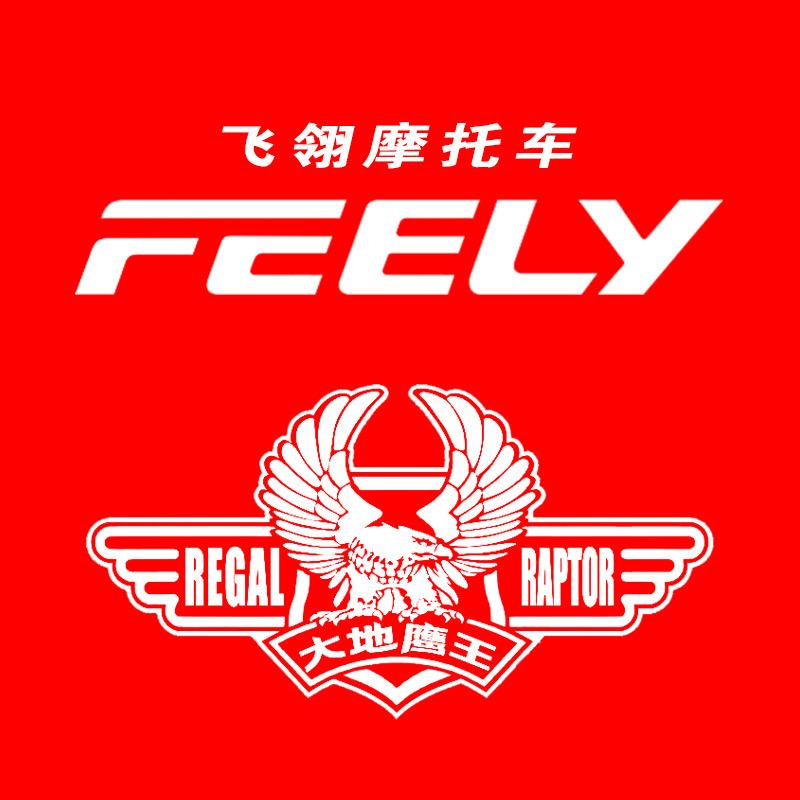 大地鹰王飞翎摩托车（全国发货）
