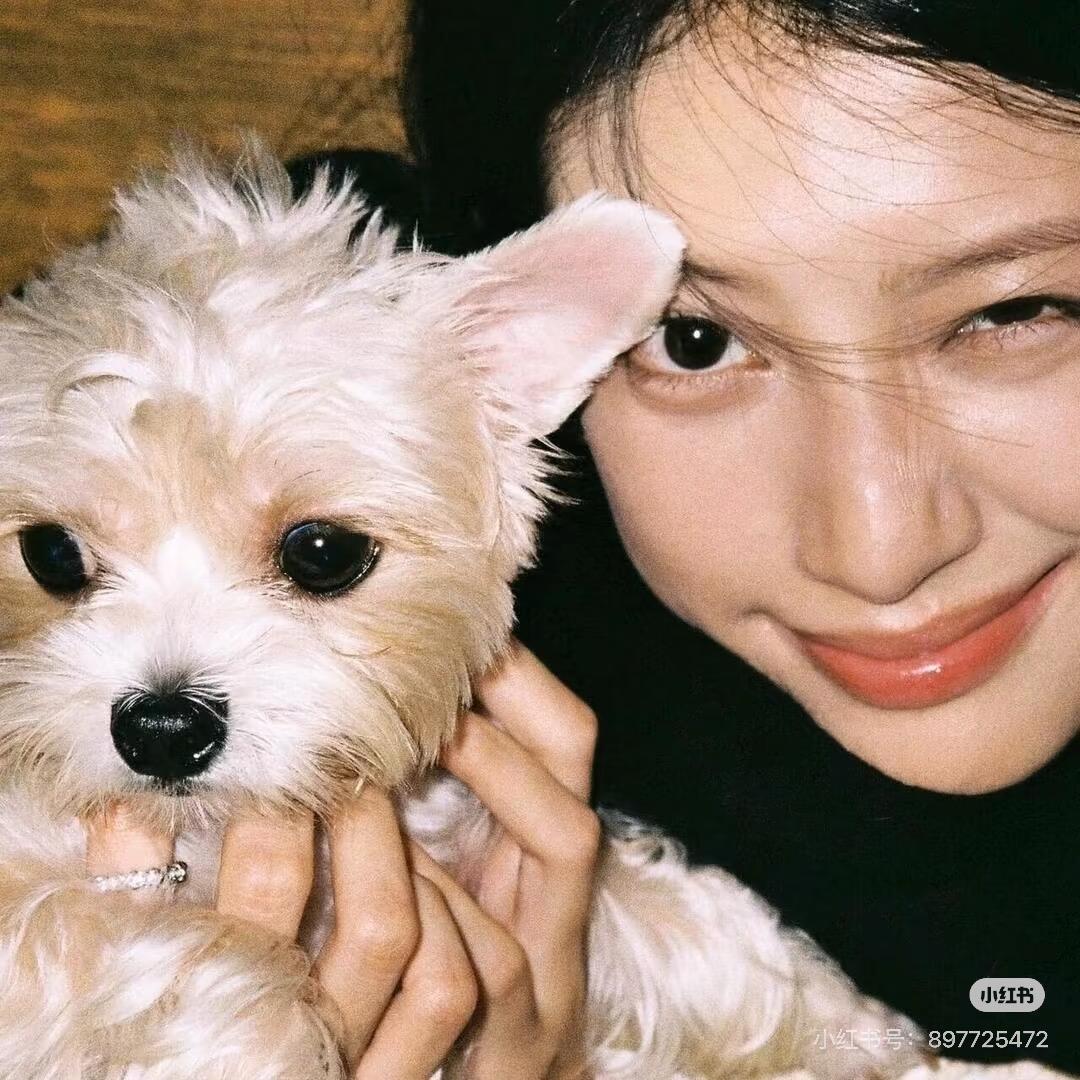 不发脾气只发财🧚