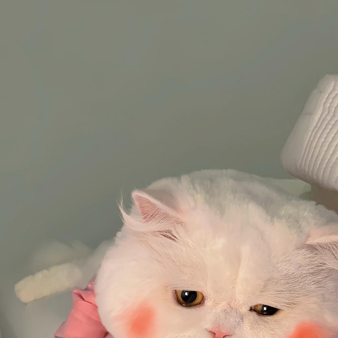 濛濛