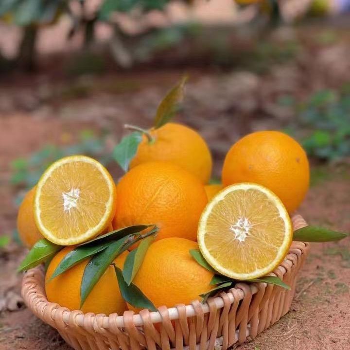 小瓶盖