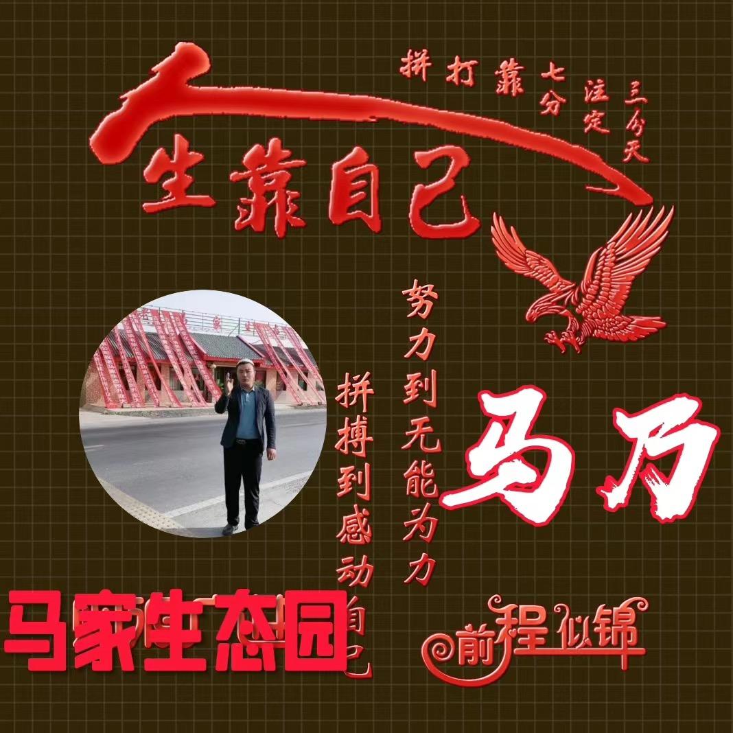 祁连山牧选牛羊肉（马乃）