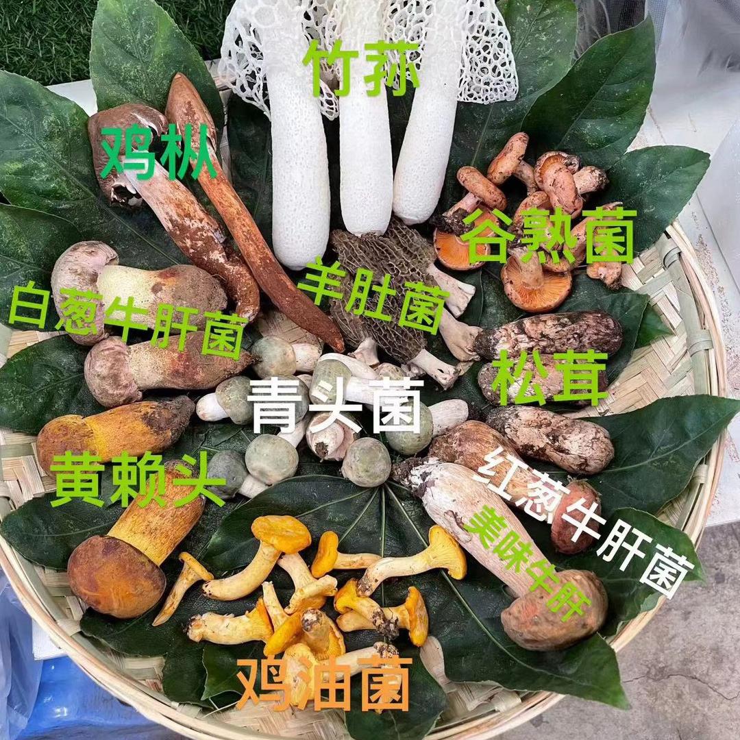 菌百优