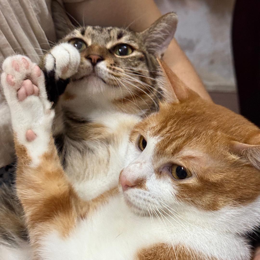 Mimo.O & Bobby