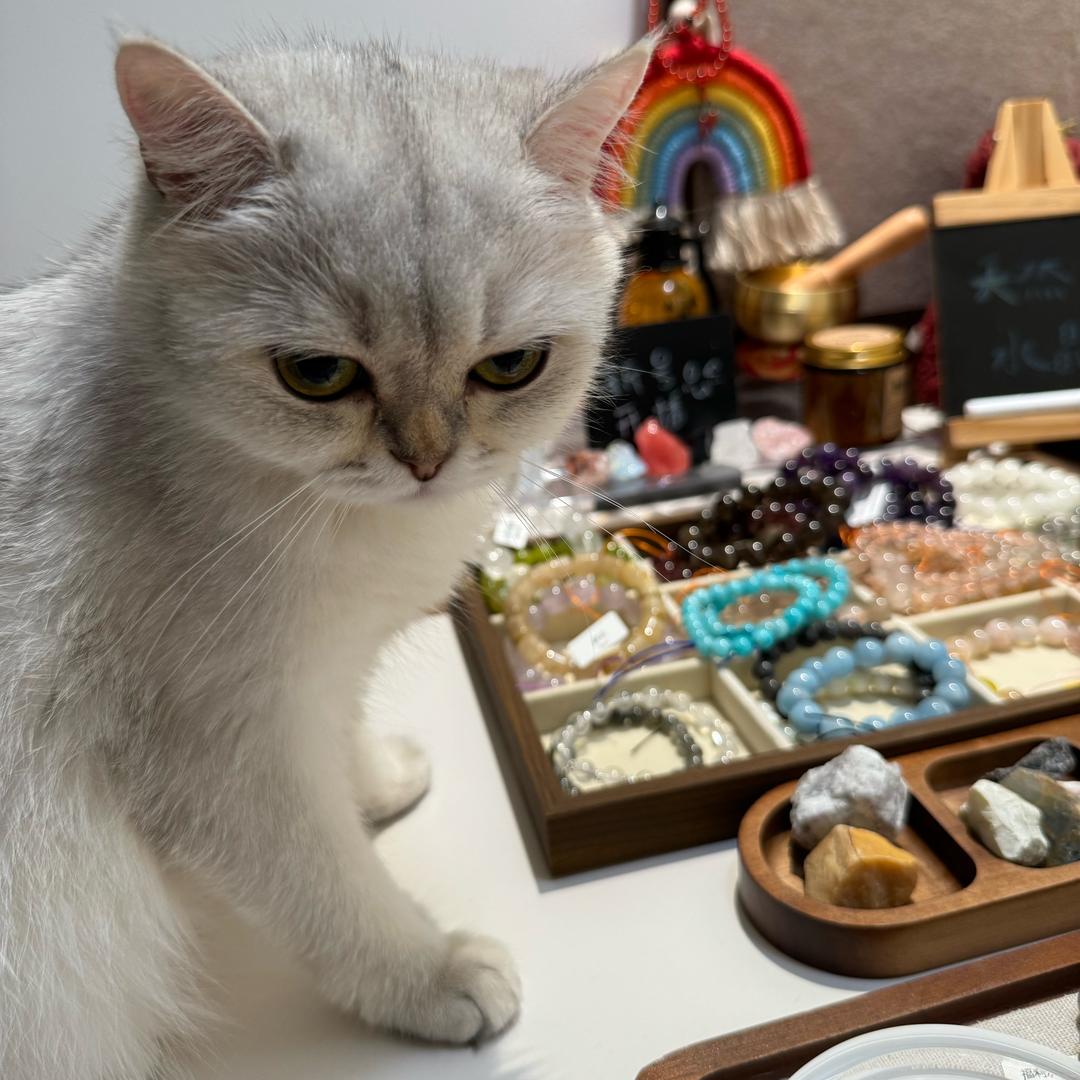 MM原创水晶设计（喵喵）