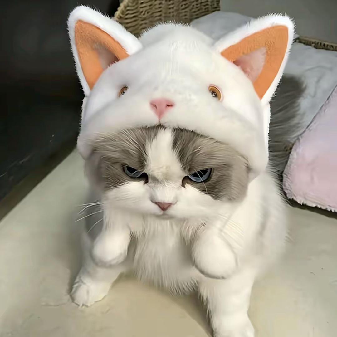 金诚仟界