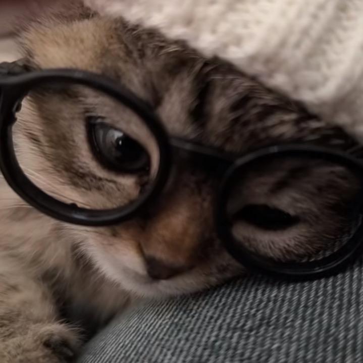 余厌(吃不起饭版)