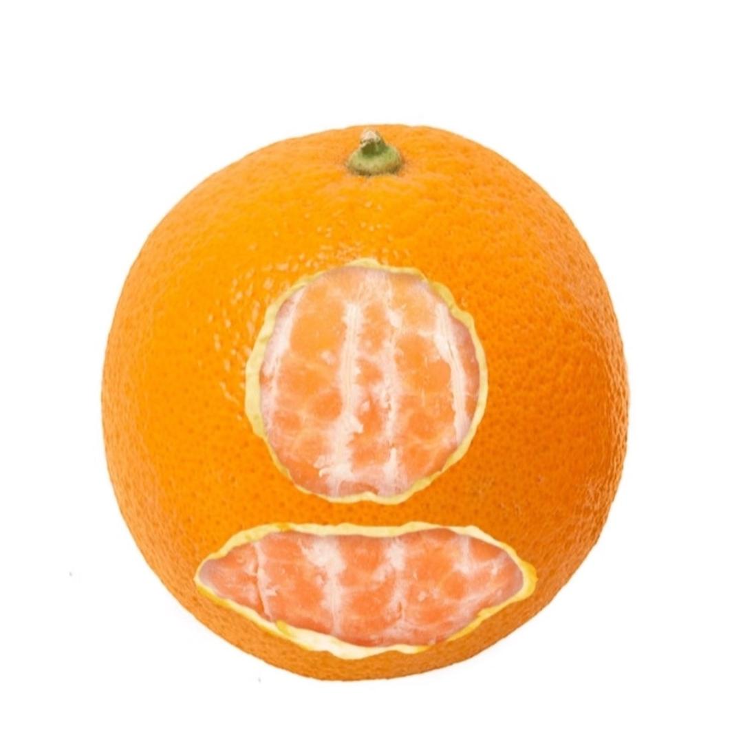 陈住气           🐑