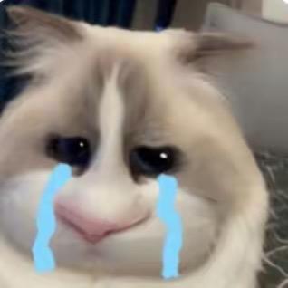 龟龟ovo