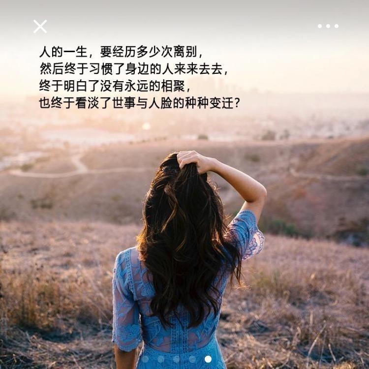 💐风吟💫
