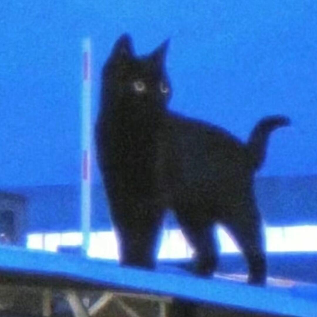永泽